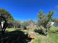 Home on the mesa’s edge the Proverbial Million Dollar View, jacuzzi and orchard