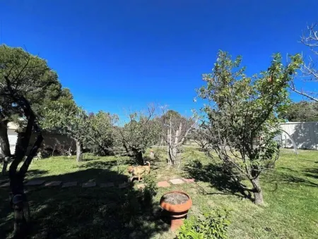 Home on the mesa’s edge the Proverbial Million Dollar View, jacuzzi and orchard