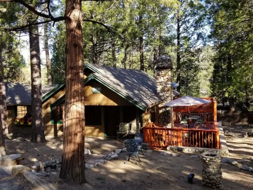 Mountain Cabin - Old Idyllwild Charm! Dog friendly. Minutes from the village. Hotels in Idyllwild