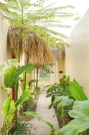 Lavillas Jogja Отели в г. Mlati