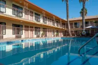Studio City Court Yard Hotel - Pools