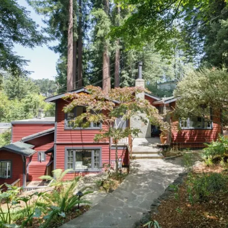 Sunny, downtown family oasis amongst the redwoods