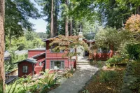 Sunny, downtown family oasis amongst the redwoods