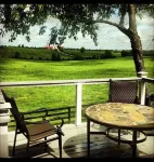 World Class Horse Farm Minutes To Keeneland, Bluegrass Airport, Bourbon Trail