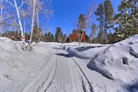 Black Hills Cabin ~ 2 Mi to Terry Peak! - 3-Star