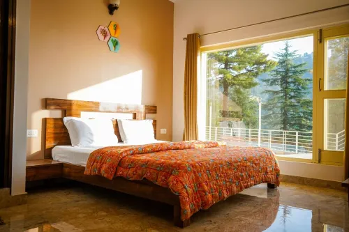 The Open Nest - Mashobra