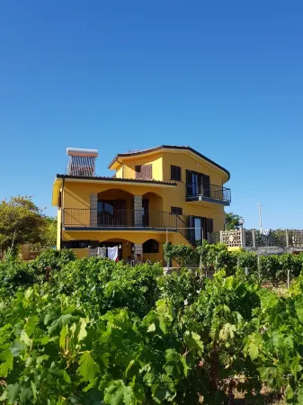 Beautiful villa in the middle vineyard. Отели в г. Магомадас