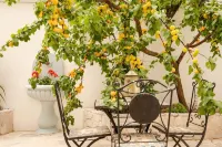 1 bedroom apartment in vieste