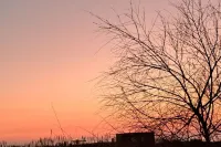 "The Hawthorn Pitchers" Apartments Hotels in Ardea