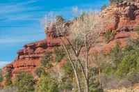 River House Haven Near Telluride