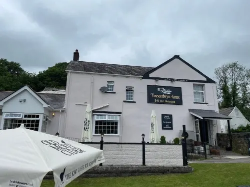 The Ynyscedwyn Arms Hotel Hotels in Cwm-twrch Isaf