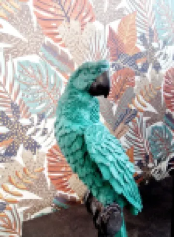 Le ara apartment, near Abbé Deschamps and town center