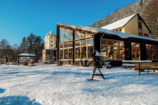 アクティブ ホテル シュトック & シュタイン のホテル