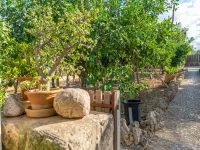 Finca Son Matginet 18 - Villa With Private Pool Hotels in Sineu