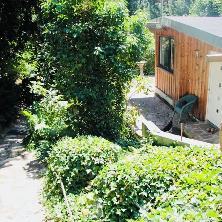 Modernly Furnished Bungalow with Fireplace, Surrounded by Greenery.