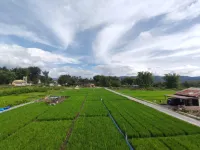 HOMESTAY GBKP BALIGE Hotels in Balige