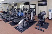 Staybridge Suites O'Fallon Chesterfield by IHG - Træningscentre