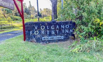 Volcano Forest Inn