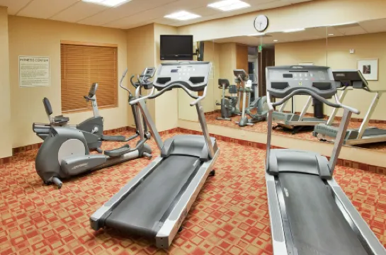 Holiday Inn Express & Suites SACRAMENTO AIRPORT NATOMAS by IHG Freizeit und Erholung Photos