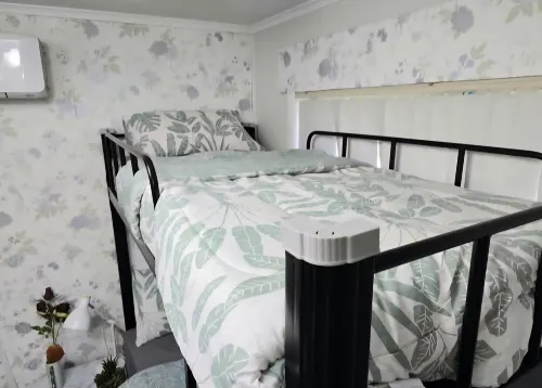 Bluetongue Hideout Hotels in Casula