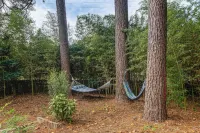 Pet-friendly Raleigh Townhome Near Medical Centers - Condos