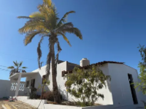 Estudio vuelo del aguila Hoteles en Todos Santos