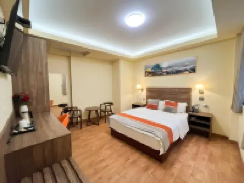 SM酒店PLUS 聖米格爾酒店