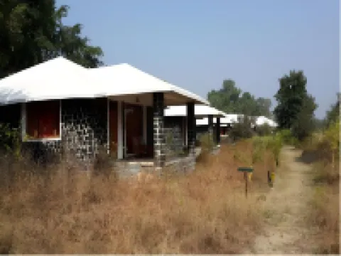 Bandhavgarh Meadows