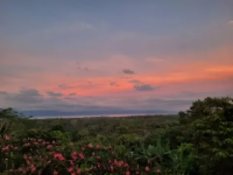 Osa Views puerto Jimenez