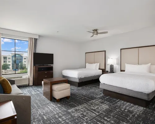 Homewood Suites by Hilton New Braunfels Hotels in New Braunfels