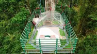 Hotel Boutique the Green Jungle House