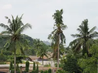 Leha-Leha Kuta Lombok - Open in April 2026