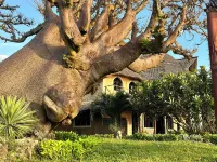 Room-38m2 Turtle Suite in a 560 m2 Villa Hotels in Shimoni