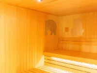 鉛温泉 藤三旅館 - スパ