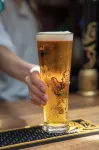 Northover Manor Hotel - bar