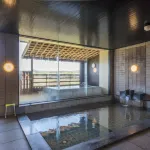 Hareya Ryokan - Hot Springs
