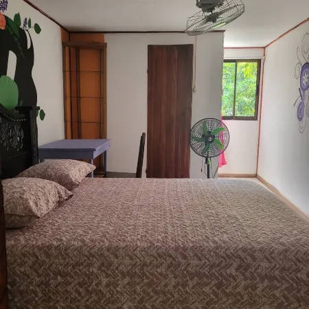 downtown montezuma hostal