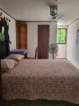 downtown montezuma hostal - Wifi