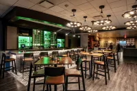 Embassy Suites by Hilton Chicago O'Hare Rosemont - بار