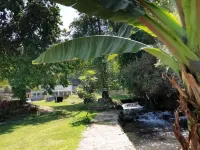 Habitaciones las Cascadas - Bữa sáng