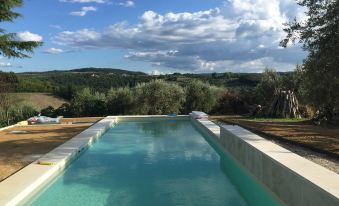 A Path of Relaxation and History Between Vineyards and Olive Trees - 6 Pax
