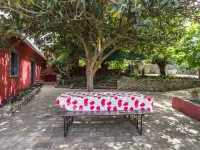 Casa Amoreira - Quinta Amoreira Hotels in Benafim