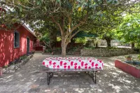 Casa Amoreira - Quinta Amoreira