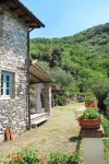 Olivella