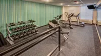 Holiday Inn Express MEMPHIS MEDICAL CENTER MIDTOWN by IHG - Træningscentre