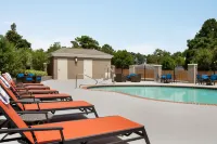 Holiday Inn Express & Suites AUBURN - UNIVERSITY AREA by IHG - Pools