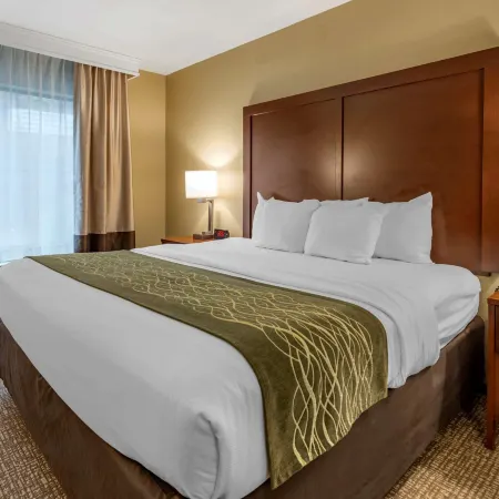 Comfort Inn & Suites Pittsburgh South