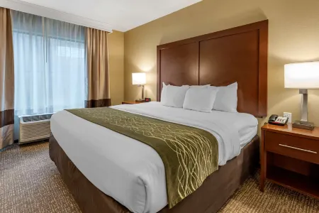 Comfort Inn & Suites Pittsburgh South Отели рядом с достопримечательностью «Фуникулёр Дюкен»