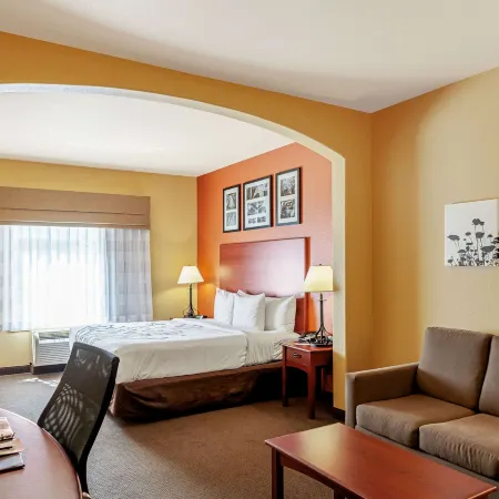 Sleep Inn & Suites Tyler South Hotel di Smith County
