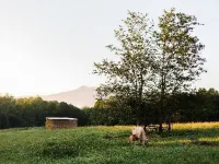 A Mighty Oak B&B Hotels in Pilot